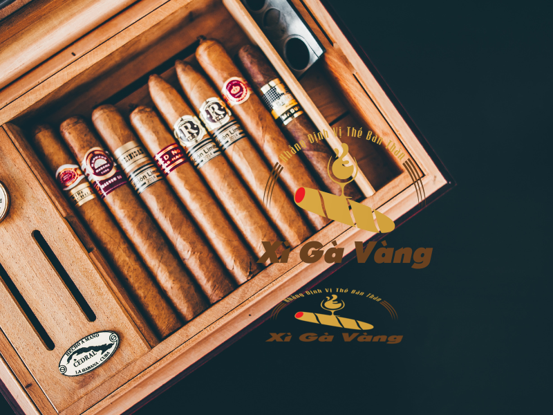 Xì Gà Vàng- địa chỉ cung cấp xì gà cao cấp, chính hãng